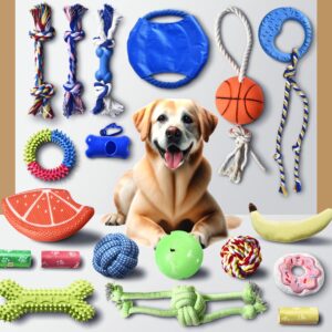 Stride Chew Toys for Puppy, 19 Pack, Dog Toys for Small Dogs & Puppies, Teething Dental Toys, Rope Toys, Plush, Squeaky & Treat Toys for Boredom, Great Value 19-Pack with Fun & Engaging Toys