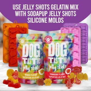 SodaPup Dogtastic Jelly Shots – Mango Flavored, Fruity Gelatin Mix Superfood Dog Treat Made in USA, Packed with Collagen and Health Benefits for Digestion, Gut, Joints, Skin, Fur, & Coat – 4.7oz