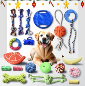 stride chew toys for puppy, 19 pack, dog toys for small dogs & puppies, teething dental toys, rope toys, plush, squeaky & treat toys for boredom, great value 19-pack with fun & engaging toys