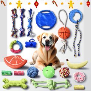 Stride Chew Toys for Puppy, 19 Pack, Dog Toys for Small Dogs & Puppies, Teething Dental Toys, Rope Toys, Plush, Squeaky & Treat Toys for Boredom, Great Value 19-Pack with Fun & Engaging Toys