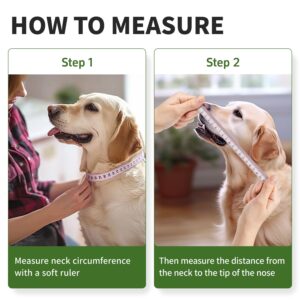 Soft Dog Cone Collar for Large Medium Dogs, Dog Cones for Dogs After Surgery, Adjustable Dog Recovery Collar, Lightweight E-Collars for Dogs, Elizabethan Collar (XL)