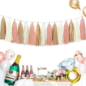 Aonor Retro Pink Tassel Garland for Boho Baby Shower Decorations Blush Bridal Shower Birthday Decorations 15PCS