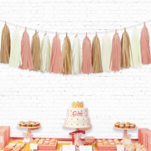 Aonor Retro Pink Tassel Garland for Boho Baby Shower Decorations Blush Bridal Shower Birthday Decorations 15PCS