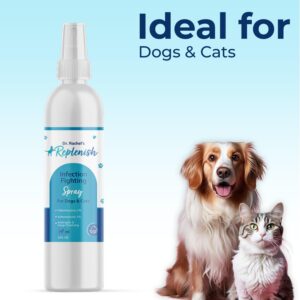 Replenish Skin Soothing Spray for Pets - Hot Spot Spray Treatment for Dogs - Dr. Rachel's Chlorhexidine, Ketoconazole, and Aloe Vera Formula for Dermatological Care in Dogs, Cats, and Horses - 8 oz