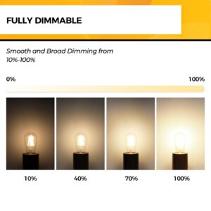 Hizashi Vintage LED Edison Bulb Dimmable, 6W Equivalent 60W, 3000k Soft White, E26 Base Led Light Bulbs, 700LM, High CRI 95+ Eye Protection, Clear Glass, Pack of 12