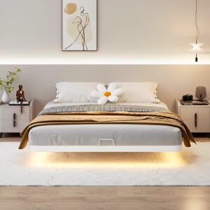 OSCHF Floating Metal Bed Frame - Queen Size Modern Platform with Smart LED Lights, Heavy Duty Bed Mattress Foundation, No Box Spring Needed, Warm White