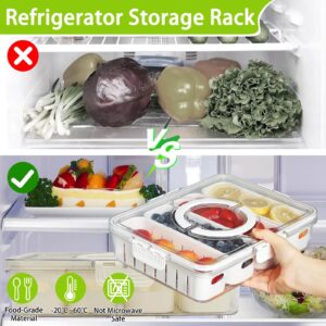 Salad Bar Containers for Fridge, 4 Compartment Divided Serving Tray with Lid & Handle for Fridge Fruit Charcuterie Storage, Veggie Tray Drainer Container Berry Snackle Box Container, BPA-Free