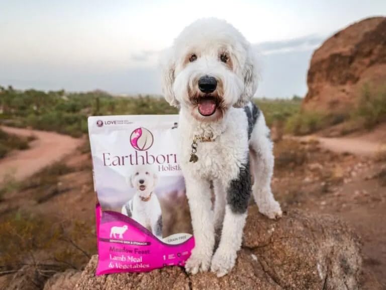 Earthborn Holistic Meadow Feast Lamb Meal & Vegetables Grain-Free Sensitive Skin & Stomach Dry Food for Adult Dogs (12.5 lb. Bag)