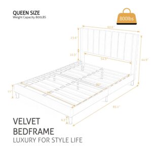 SHA CERLIN Queen Bed Frame/Velvet Upholstered Platform Bed Frame with Headboard/Strong Wood Slats Support/Mattress Foundation/No Box Spring Needed/Easy Assembly/White