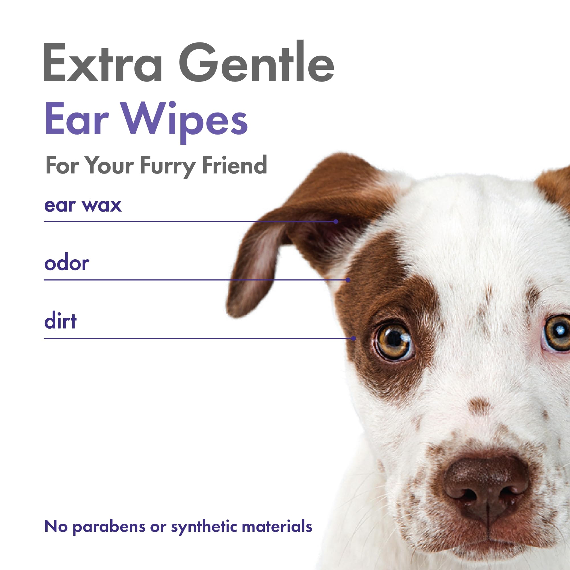 Petkin Plant-Based EarWipes, 80 Wipes - Biobased & Sustainable Pet Ear Wipes for Dogs & Cats - Cleans Ear Area, Dirt, Odor & Wax - Consciously Cleans & Conditions - Easy to Use - Lavender