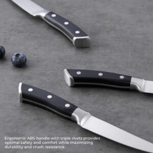 BEZIA Steak Knives Set of 4, Extra Sharp Non Serrated Steak Knife Set, German Steel Blades with Full Tang Ergonomic Handle