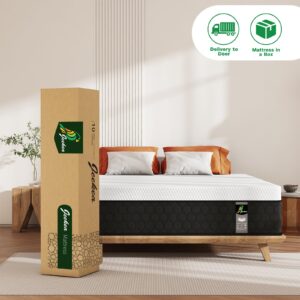 JEEKEA 12 inch Twin Mattress in a Box - 12 Inch Memory Foam Mattress Twin Size - Twin Hybrid Mattress for Back Pain Relief - Medium Firm Mattress Twin with Motion Isolation & Strong Edge Support