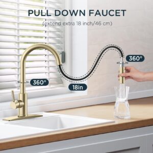 FORIOUS Gold Kitchen Faucets, Brushed Gold Kitchen Faucet with Pull Down Sprayer, Kitchen Sink Faucet Champagne Gold, High Arc Stainless Steel Classic Faucet for Kitchen Sink, Bar, Farmhouse, Laundry