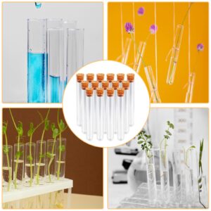 Plastic Test Tubes with Lids, 15x100mm (15ml) Clear Vials with Seal Cap Container Transparent Test Tubes with Cork Stoppers for Jewelry Seed Beads Powder Spice Liquid Storage (15 PCS)