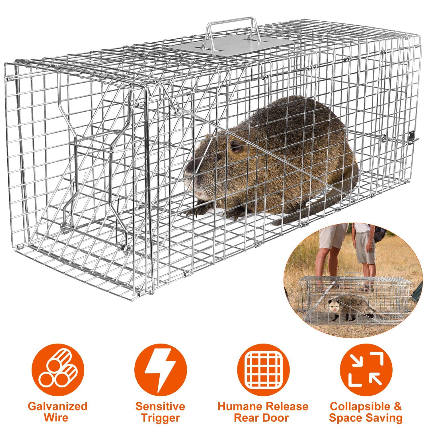 KOCASO Live Animal Trap Cage, Folding Large Humane Heavy Duty Trap Cage Catch Release Live Animal Rodent Trap Cage Collapsible Galvanized Wire for Raccoons Beavers Groundhogs Foxes Armadillos