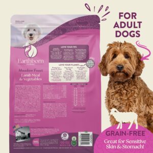 Earthborn Holistic Meadow Feast Lamb Meal & Vegetables Grain-Free Sensitive Skin & Stomach Dry Food for Adult Dogs (12.5 lb. Bag)