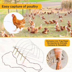 Bird Trap by Tying Birds' feet，Hunting Trap for Birds,Wild Duck,Chicken, Pheasant, Partridge Mallard