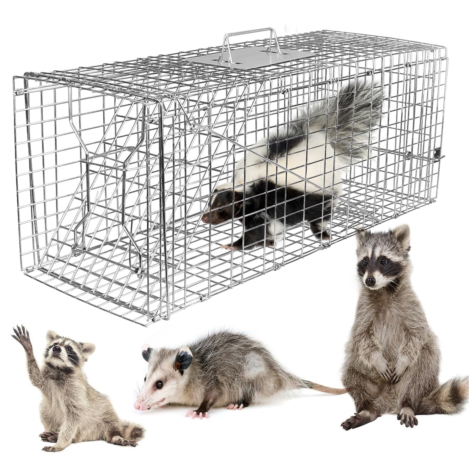 KOCASO Live Animal Trap Cage, Folding Large Humane Heavy Duty Trap Cage Catch Release Live Animal Rodent Trap Cage Collapsible Galvanized Wire for Raccoons Beavers Groundhogs Foxes Armadillos