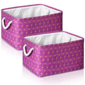 sunnychicc easter basket, easter eggs bunny flower foldable storage bins with handles, easter canvas cubes fabric collapsible organizer bag for storage clothes(fleur de lis, 2 pcs)