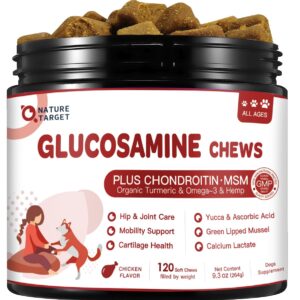 Glucosamine for Dogs, Joint Supplement for Dogs with Chondroitin, MSM, Omega-3, Hemp for Pain Relief, Hip and Joint Chews for Dogs with Calcium for Bone Health, 120 Soft Chews