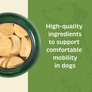 Spirited Paw Joint and Mobility for Dogs - Joint Support Supplement for Dogs - Antioxidant Supplement with Vitamin C & E - Dog Supplement with Glucosamine & Chondroitin - 100 Chewable Wafers