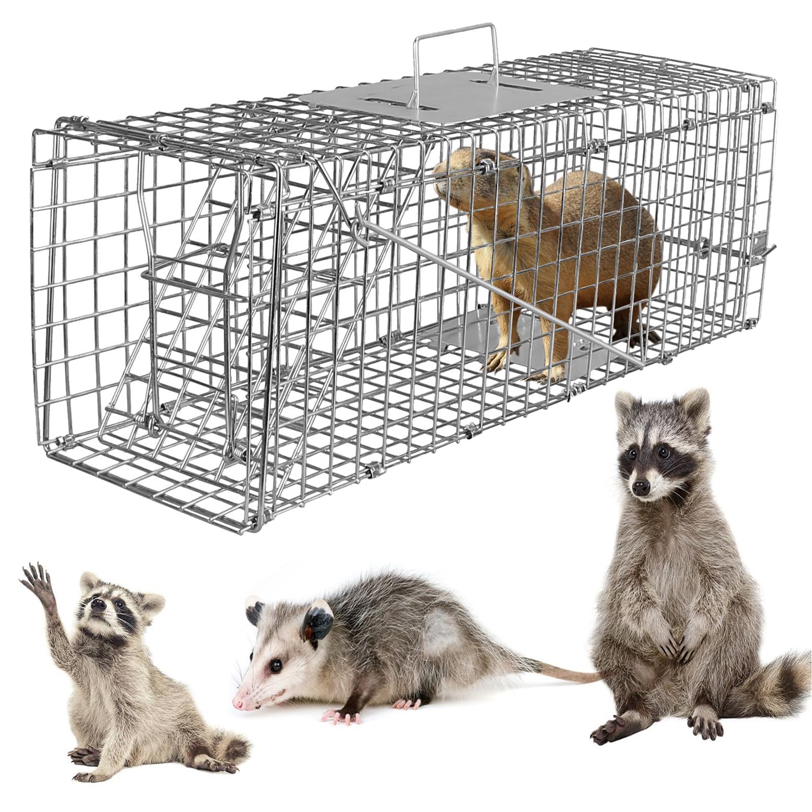 KOCASO Live Animal Trap Humane Cat Trap Catch for Small Raccoons Beavers Groundhogs Foxes Armadillos Cats, Rabbits, Raccoons, Skunks, Possums/Catch and Release