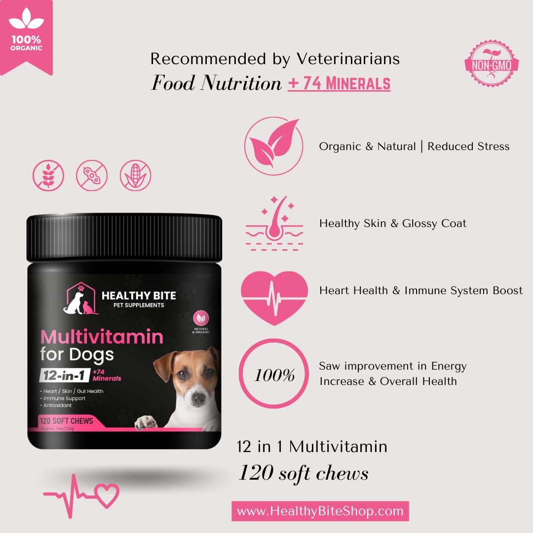 Healthy Bite 12 in 1 Multivitamin for Dogs - Dog Skin and Coat Supplement, Immune Support for Dogs, Pet Vitamins Dogs, Calcium for Dogs, Vitamin for Dogs Made in USA - 120 Count