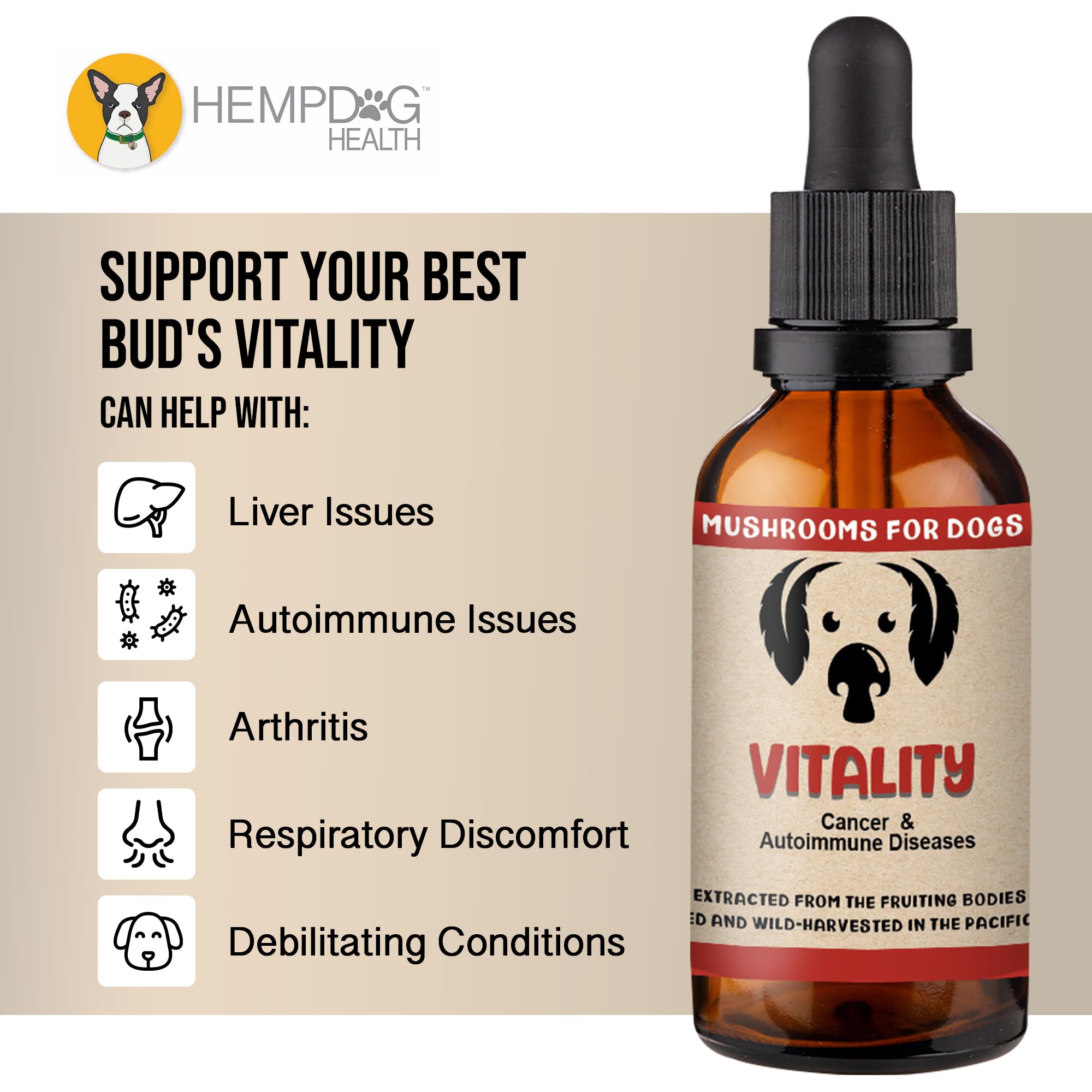 MycoDog Vitality Mushroom Extract & Adaptogen Tincture - Mushroom & Ashwagandha Supplements for Dogs with Debilitating Conditions - Turkey Tail, Chaga, Maitake, Reishi Mushroom, & Shiitake Mushrooms