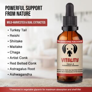 MycoDog Vitality Mushroom Extract & Adaptogen Tincture - Mushroom & Ashwagandha Supplements for Dogs with Debilitating Conditions - Turkey Tail, Chaga, Maitake, Reishi Mushroom, & Shiitake Mushrooms