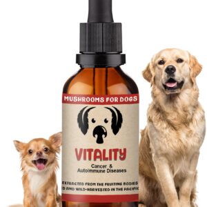 MycoDog Vitality Mushroom Extract & Adaptogen Tincture - Mushroom & Ashwagandha Supplements for Dogs with Debilitating Conditions - Turkey Tail, Chaga, Maitake, Reishi Mushroom, & Shiitake Mushrooms