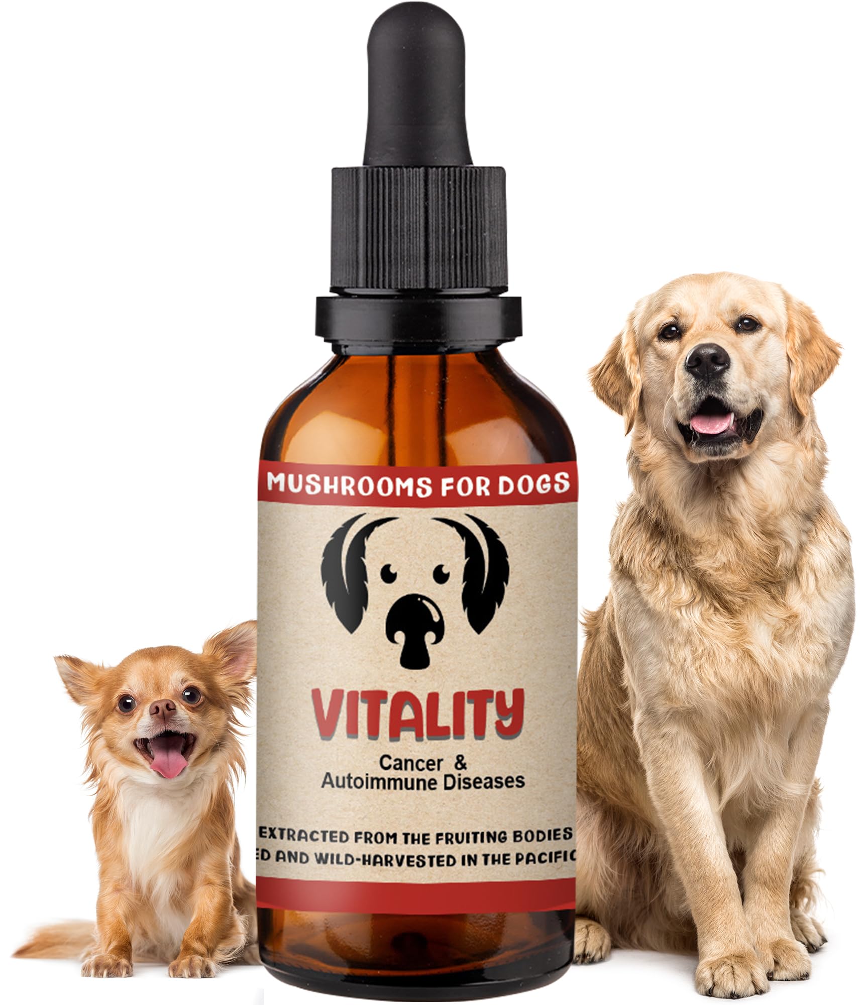 MycoDog Vitality Mushroom Extract & Adaptogen Tincture - Mushroom & Ashwagandha Supplements for Dogs with Debilitating Conditions - Turkey Tail, Chaga, Maitake, Reishi Mushroom, & Shiitake Mushrooms