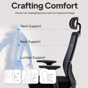 Ergonomic Office Chair for Home Office, Desk Chair with Breathable Mesh, Adjustable Armrest, Lumbar Support and Headrest, Black