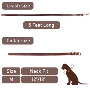 Heavy Duty Genuine Leather Dog Collar and Leash Set - 5ft Soft and Durable Leash and Collar Set with Metal Buckle - Adjustable Dog Collar Set, Compatible for Small to Medium Dogs