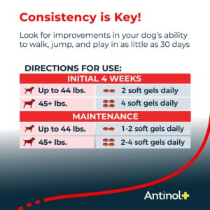 Antinol Plus, Mobility, Hip, and Joint Supplement for Dogs, Green-Lipped Mussels and Krill Oil - Dog Joint Supplement, Better and Faster Than Glucosamine and Chondroitin, 120 Soft Gels