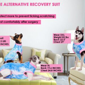 Wabdhaly Dog Surgery Recovery Suit for Small Female Spay,Anti Licking Dog Surgical Recovery Onesie,Tie Dye Blue Pink XS