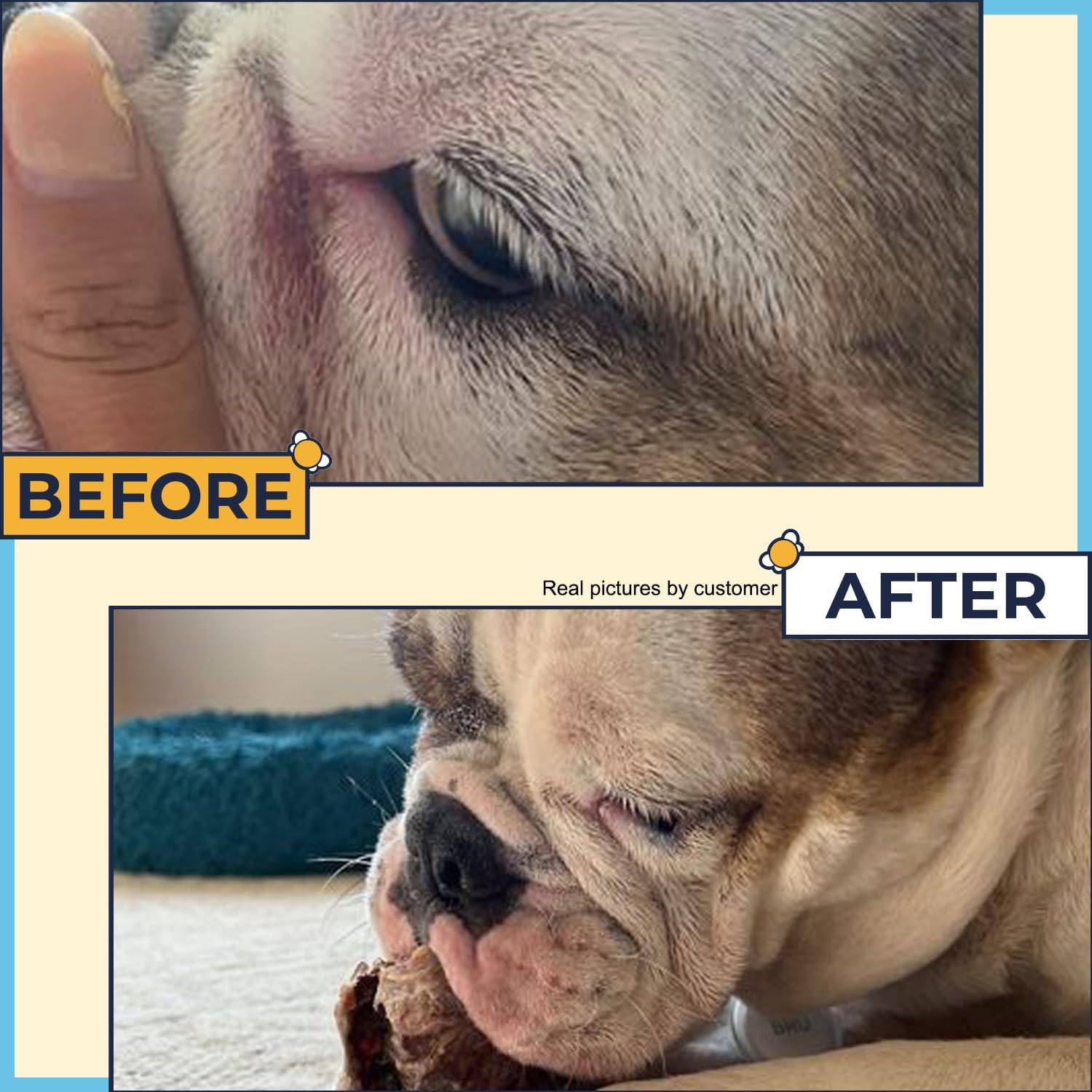 Wrinkle Paste for Bulldogs 2oz–Say Bye to Rash and Keep Fold Clean on Frenchie, English Bulldog, Pug- Wrinkle Cream for Dogs for Skin,Tail Pockets, and Paws- Wrinkle Paste for French Bulldogs