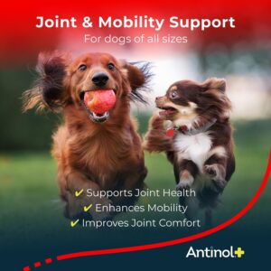 Antinol Plus, Mobility, Hip, and Joint Supplement for Dogs, Green-Lipped Mussels and Krill Oil - Dog Joint Supplement, Better and Faster Than Glucosamine and Chondroitin, 120 Soft Gels