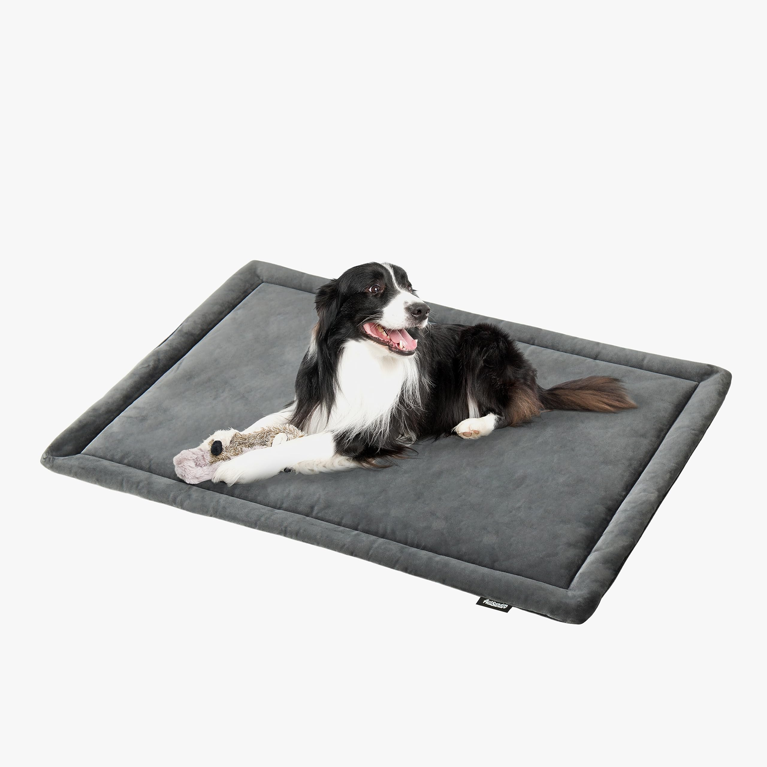 Allisandro Water-Proof Dog Bed, Washable Mat Crate Pad, Durable Pet Beds Soft Dog Mattress, Anti-Slip Kennel Pads for Dogs, Cats and Small Animal, Grey (18 x 12 Inches)