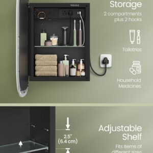 VASAGLE Medicine Cabinet with Mirror and Lights, Wall-Mounted Bathroom Wall Cabinet with Charging Station, 2 AC Outlets, 2 USB-A Ports, Rounded Rectangle, Adjustable Shelf, Black UBBK127B02