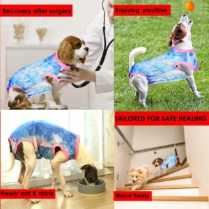 Wabdhaly Dog Surgery Recovery Suit for Small Female Spay,Anti Licking Dog Surgical Recovery Onesie,Tie Dye Blue Pink XS