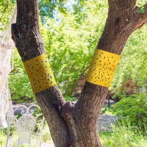 Kittmip 4 Rolls 260ft Lantern Fly Tree Tape Outdoor Adhesive Crawling Insect Trap Yellow Sticky Traps Sticky Barrier Protecting Trees Outdoor Indoor Fruit Tree Lawn Garden Control Aphids Ant Moth