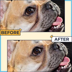 Wrinkle Paste for Bulldogs 2oz–Say Bye to Rash and Keep Fold Clean on Frenchie, English Bulldog, Pug- Wrinkle Cream for Dogs for Skin,Tail Pockets, and Paws- Wrinkle Paste for French Bulldogs