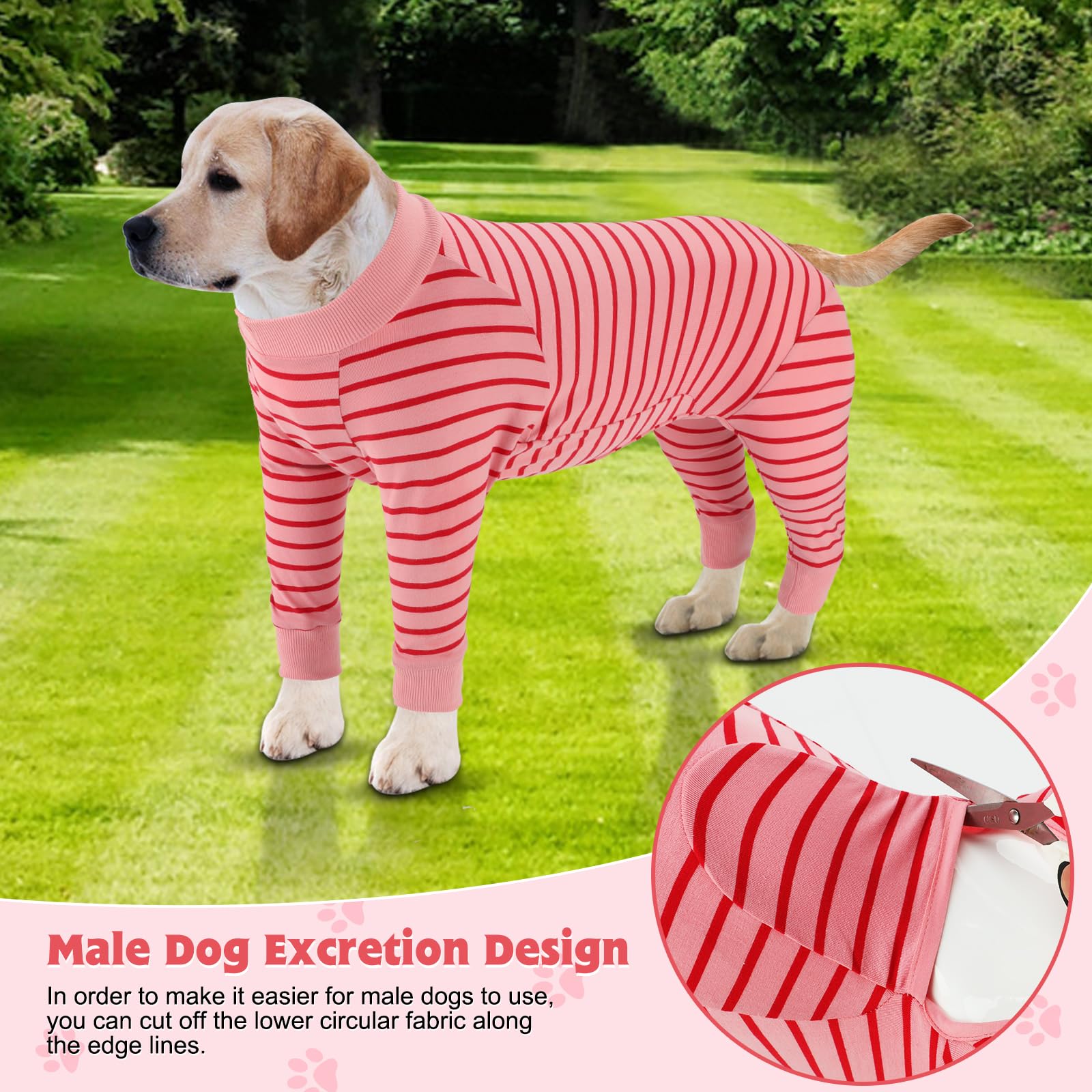 Rypet Dog Recovery Suit Dog Onesie Surgery Recovery Suit for Large Medium Bodysuit Dogs Pajamas Anti Shedding Bodysuit for Female Male for Shedding Prevent Licking Surgical Wound(4XL)