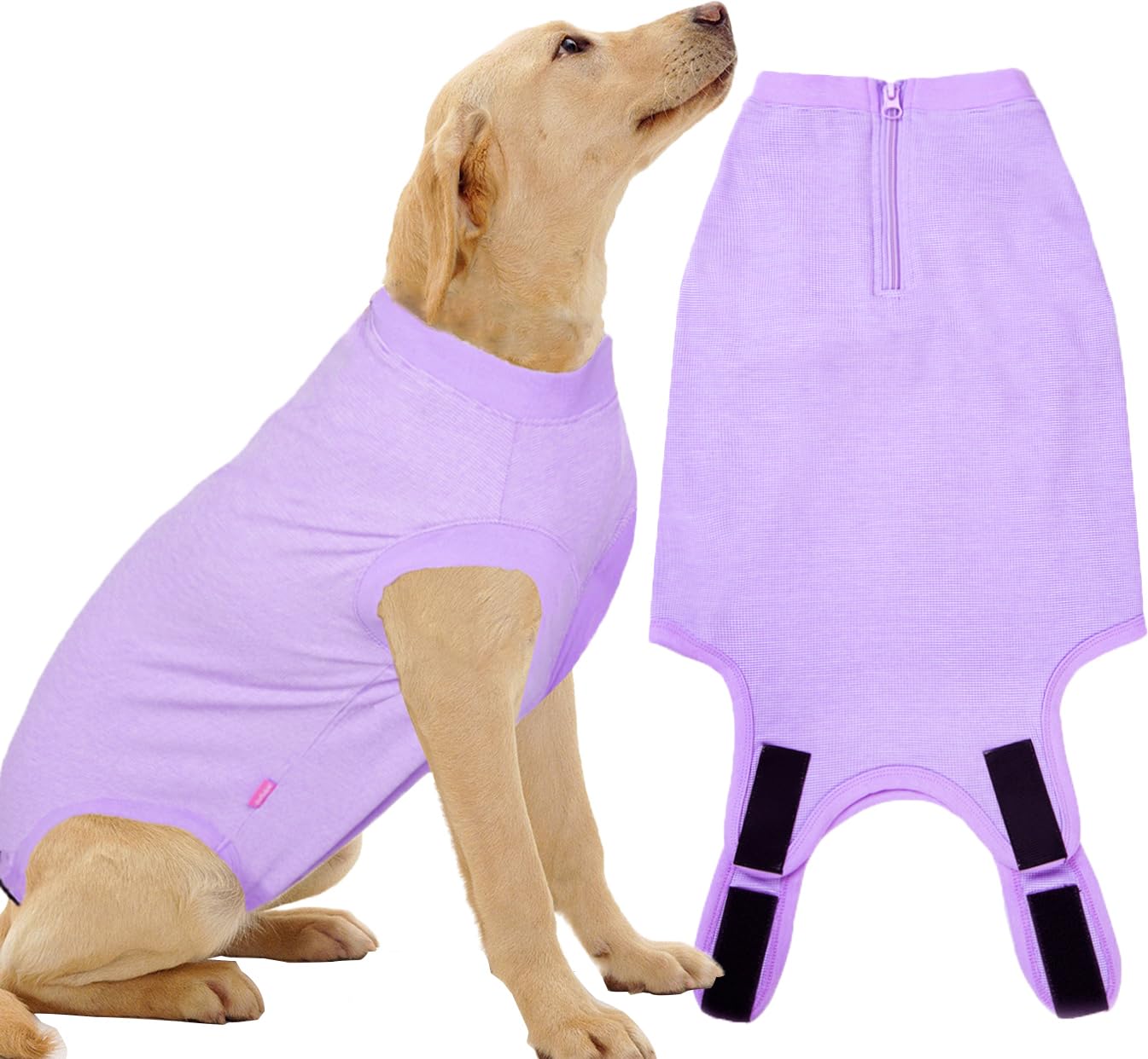 Wabdhaly Dog Surgery Recovery Suit for Large Female Spay,Anti Licking Dog Surgical Recovery Onesie,Fashion Striped Purple XL