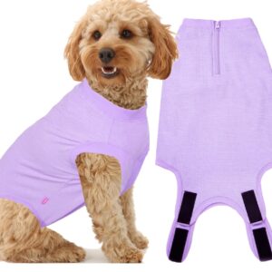 Wabdhaly Dog Surgery Recovery Suit for Small Female Spay,Anti Licking Dog Surgical Recovery Onesie,Fashion Striped Purple S