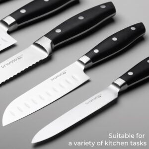 linoroso 5 Pcs Knife Set with Magnetic Knife Strip, Sharp High Carbon Stainless Steel Kitchen Knife Set for Cutting, Chopping & Slicing, Chef Knives Set with Magnetic Knife Holder for Wall