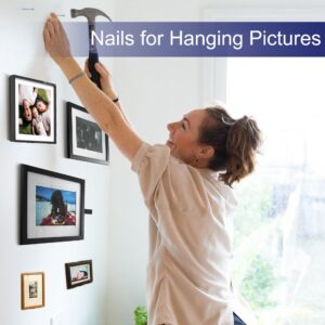 Eujqo Nails for Hanging Pictures Small Nails Picture Hanging Nails 700Pcs Finishing Nails Hardware Nails for Wall Wood Nails