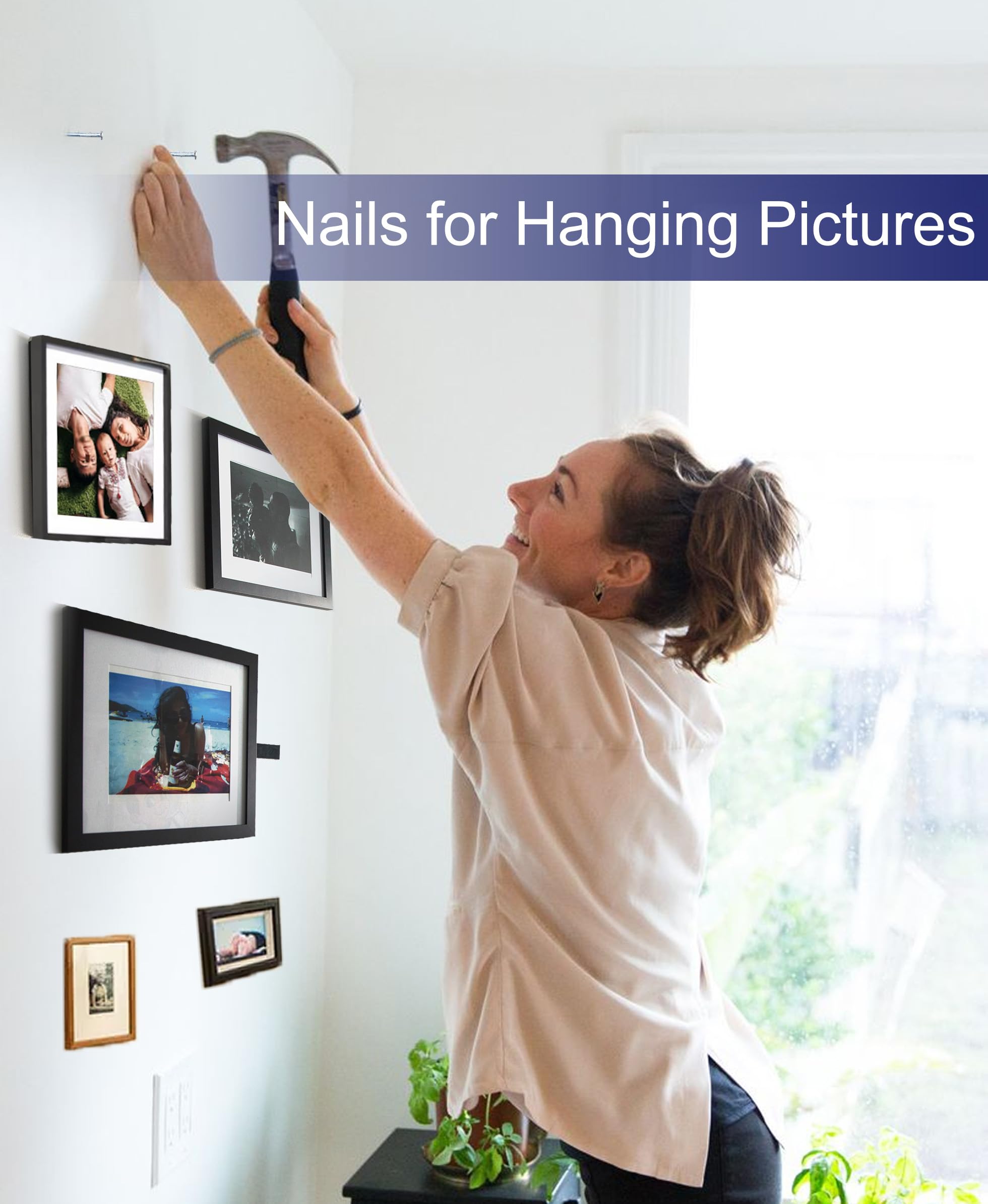 Eujqo Nails for Hanging Pictures Small Nails Picture Hanging Nails 700Pcs Finishing Nails Hardware Nails for Wall Wood Nails