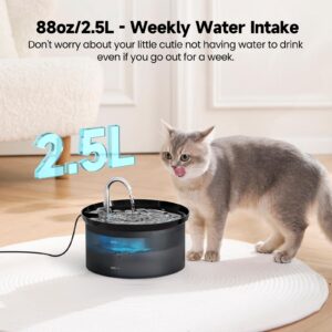 Cat Water Fountain: BMDSAE 88Oz Pet Water Fountains Indoor 24/7 Running Water Supplies Dispenser for Drinking Dish Automatic Dog Waterer Bowls Flow Ultra Quiet Pump Faucet Bottle Watering