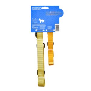 The Dodo All Nylon Yellow Collar and Leash Set - Medium; Matching Cute Leash and Collar Set; Waterproof Dog Leash and Collar Set, Perfect for Beach Day or Trips to The Lake